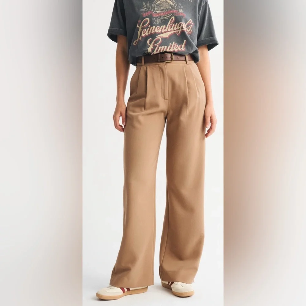 Abercrombie & Fitch Sloane Wide-Leg Trouser/Pants in Brown/Camel Size 28/6R NWT - Picture 1 of 9